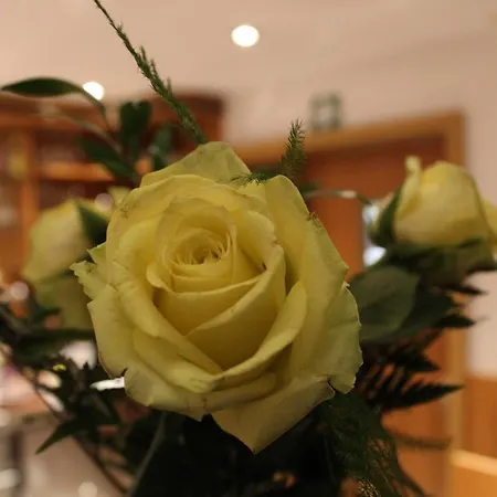 Albena - Garni 2* Fürstenwalde