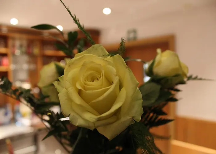 Albena - Garni 2* Fürstenwalde